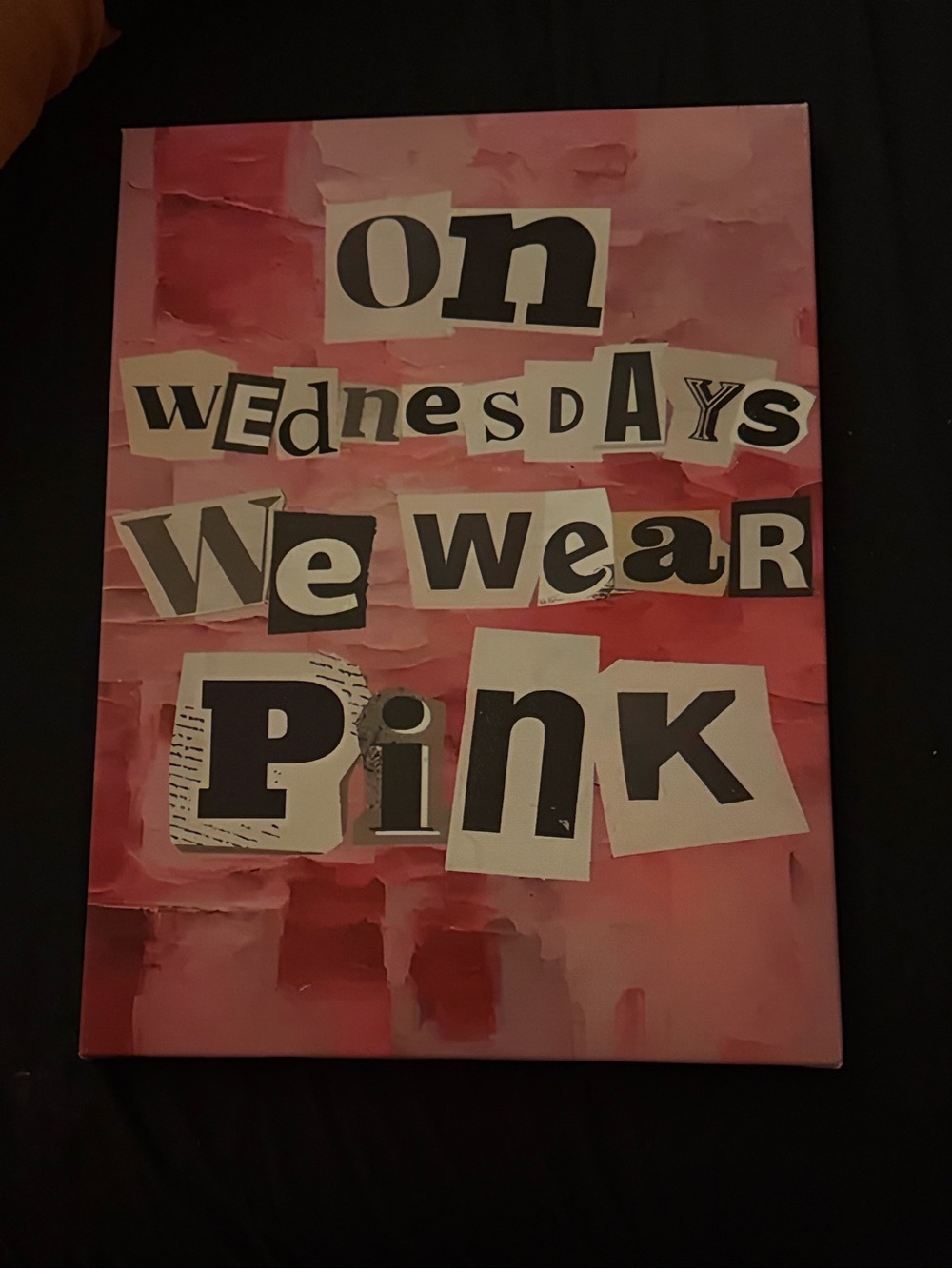Pink Wall Art Canvas "On Wednesdays We Wear Pink"